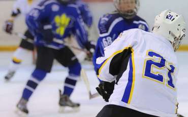 Their place in the hockey league